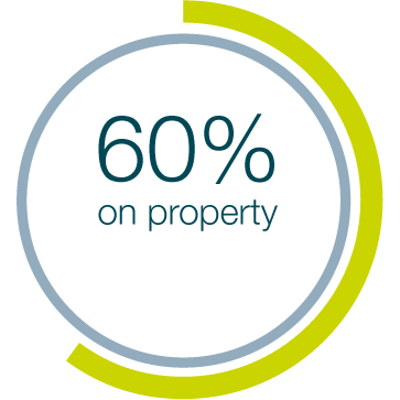 60% on property